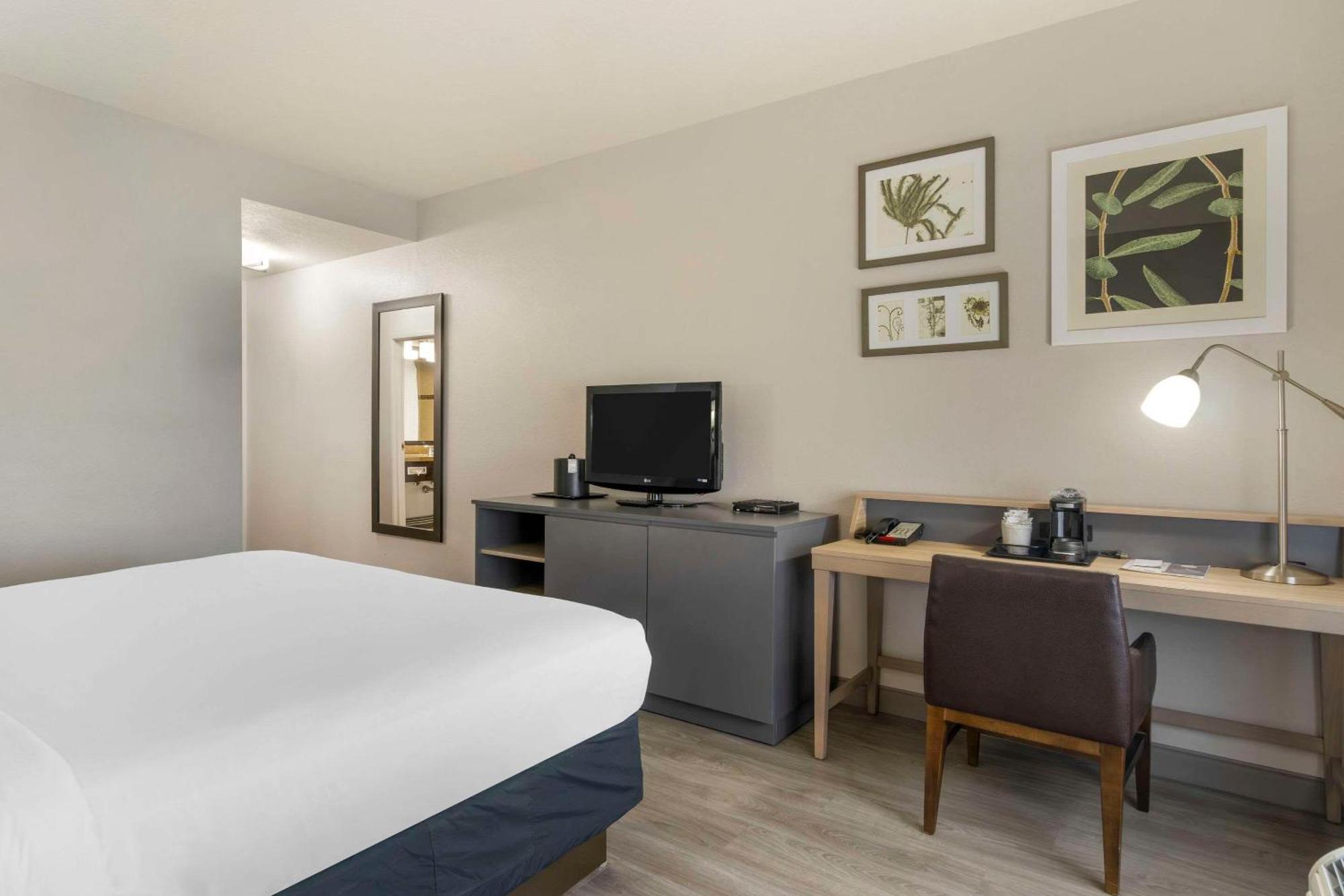 Country & By Radisson, Airport North, Fl Hotel West Chase